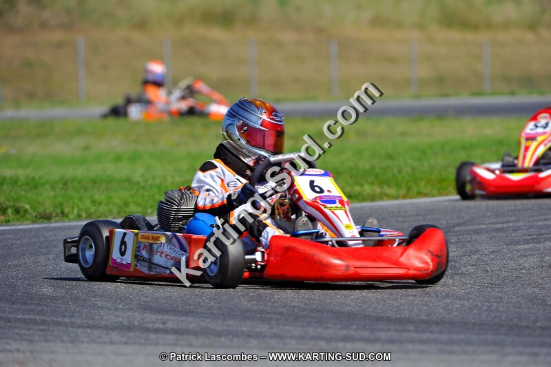 DSC_ (1289).jpg